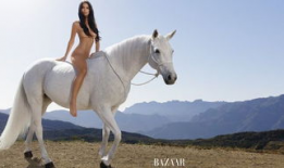 马麻豆,探寻神秘东方文化的瑰宝